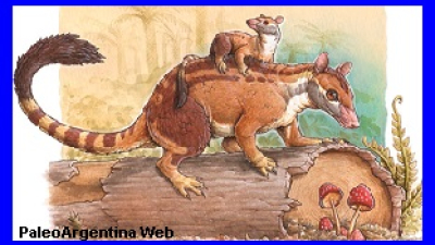 Esclarecen origen de dos mamíferos extintos cuya procedencia y antigüedad eran un misterio 