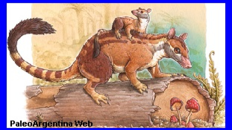 Esclarecen origen de dos mamíferos extintos cuya procedencia y antigüedad eran un misterio