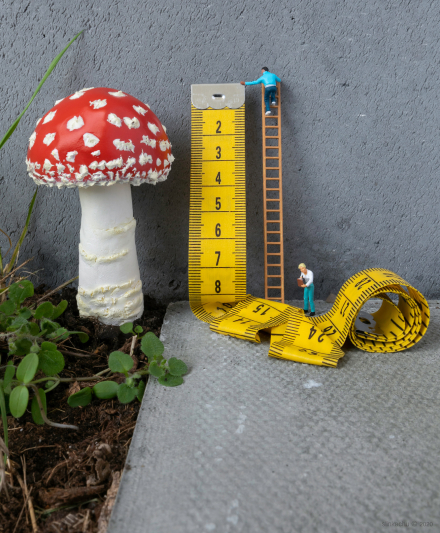 86-Walsh Slinkachu.jpg