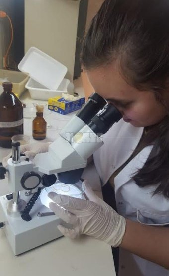 investigadora unne.jpg