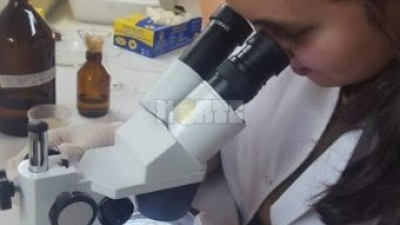 Técnica de investigadores del NEA logra casi la misma eficacia que el Malbrán