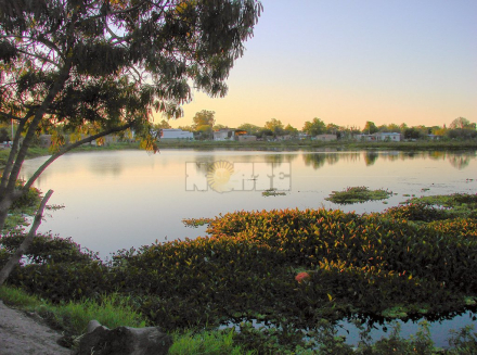 Lagunas.jpg