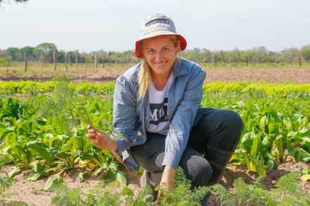 agricultura2.jpg