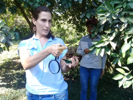 pilar ortega 1.jpg