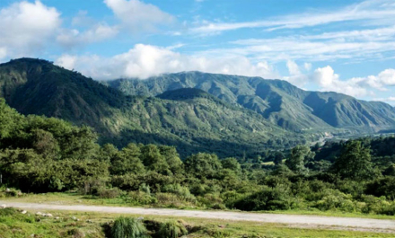 verde-camino.jpg