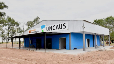 hospital-veterinario.jpg