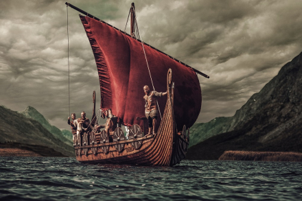 vikings (1).jpg