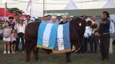 Gran desfile de lo mejor de las razas Braford, Brangus, Brahman y caballos criollos.