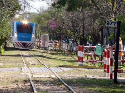 tren 2020.jpg