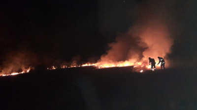 Bomberos trabajaron a destajo para extinguir un incendio en un campo de 55 hectáreas
