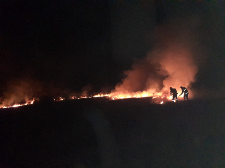 incendio Tacuruzal 1.jpeg