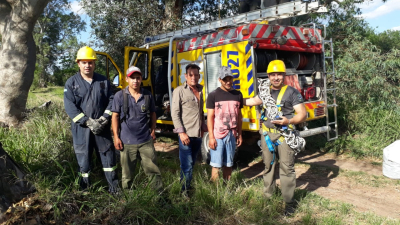 Trepó hasta la cima de un árbol, quedó varado y lo rescataron los bomberos