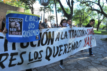marcha8.jpg