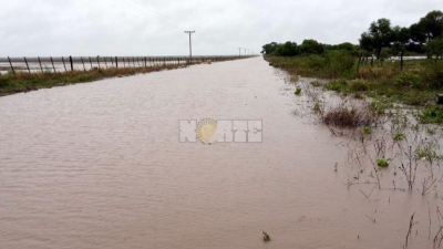 Con las lluvias, cambian las expectativas productivas