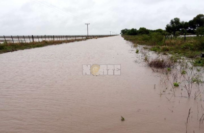 Con las lluvias, cambian las expectativas productivas