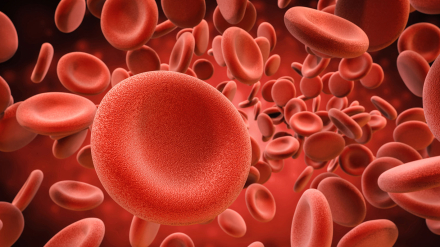 plasma-6.jpg