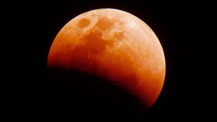 eclipse2.jpg