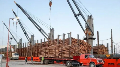 Corrientes construirá un mega aserradero, y será el más grande del país.