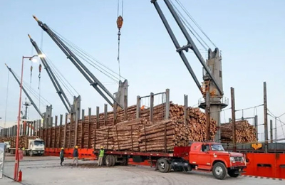 Corrientes construirá un mega aserradero, y será el más grande del país.