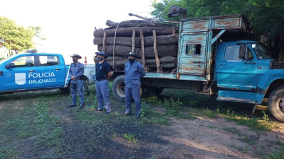 Incautaron siete toneladas de algarrobo en Pampa Grande