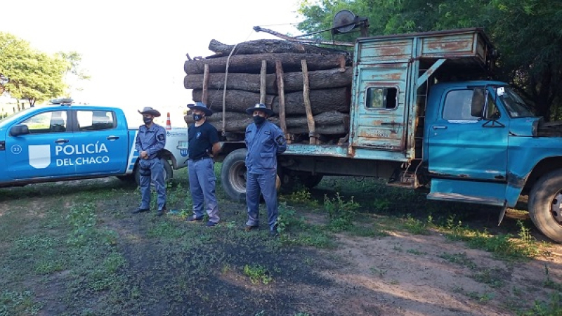 Incautaron siete toneladas de algarrobo en Pampa Grande