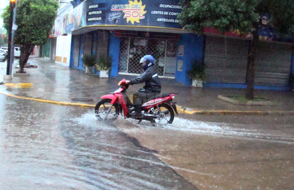 Fotos: Fabián Maldonado.