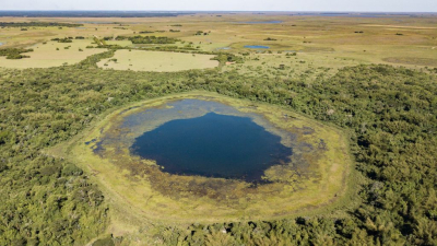 Yerbalito, el parche de bosque paranaense más grande del Iberá, es ahora parte del parque provincial