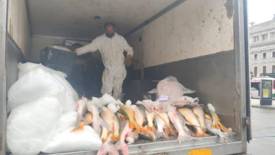 Nuevo "pescadazo" frente al Congreso Nacional 