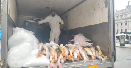 pescadazo3.jpg