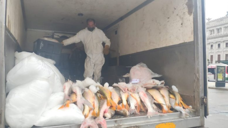 Nuevo "pescadazo" frente al Congreso Nacional 