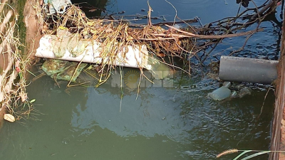 Preocupación de vecinos de Charata por aguas servidas en cunetas