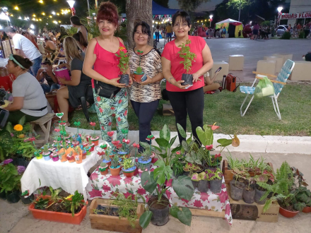58norma plantas.jpeg