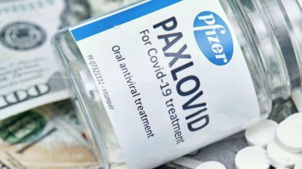 paxlovid-pfizerjpg.jpg