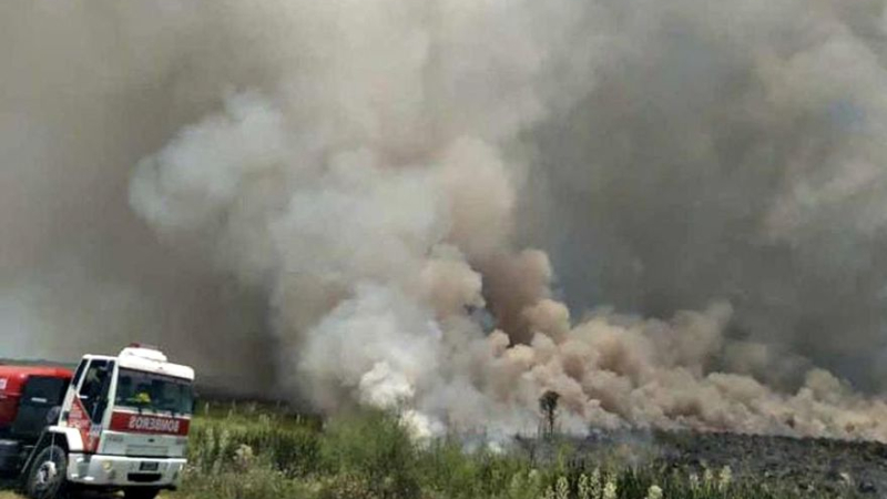 Un incendio arrasó parte de un parque arqueológico, considerado Patrimonio de la Humanidad