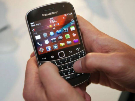 blackberry.jpg