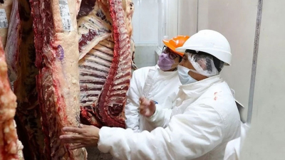 Repercusiones sobre las nuevas medidas para las exportaciones de carne.
