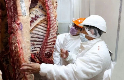 Repercusiones sobre las nuevas medidas para las exportaciones de carne.