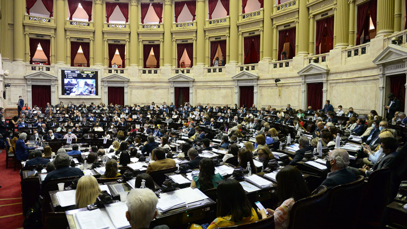 Las leyes que marcaron el año parlamentario en la Cámara de Diputados