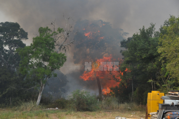 <p>Las llamas cobraron gran magnitud en los campos de la Ruta 16 que ardieron este jueves en inmediaciones de la firma Melli Hermanos. Foto: Jorge "Punky" Flores.  </p>