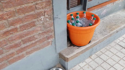 Solidaridad para paliar la ola de calor: un bar de Resistencia ofrece alimento y agua para perritos