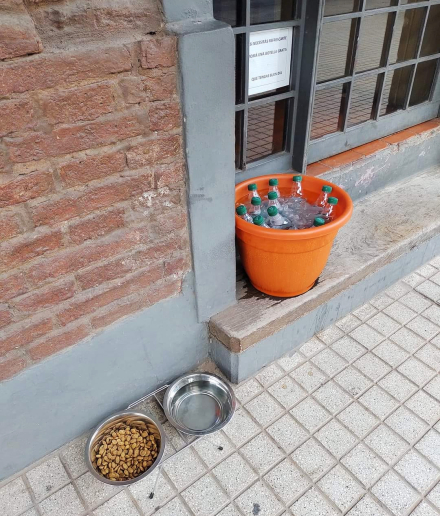 58.jpg