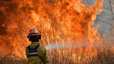 Forestales estiman pérdidas de casi 4.000 billones de pesos por los incendios