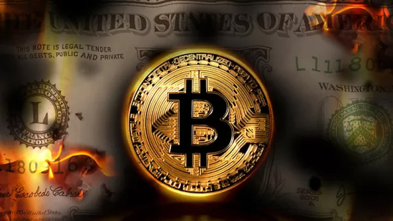 Bitcoin va camino a perder la mitad de su valor y hay miedo extremo en los inversores