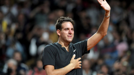 delpotro.jpg