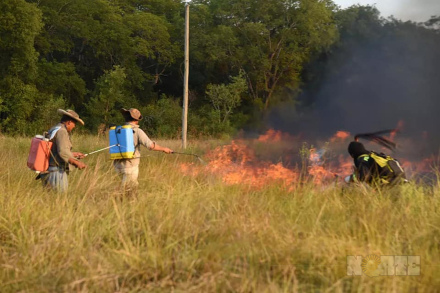fuego5.jpg