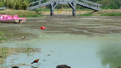 Otra de las consecuencias que genera la falta de lluvias: la laguna Francia se convirtió en apenas un charco