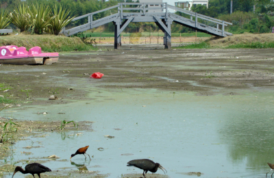 Otra de las consecuencias que genera la falta de lluvias: la laguna Francia se convirtió en apenas un charco