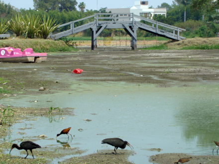 laguna2.jpg