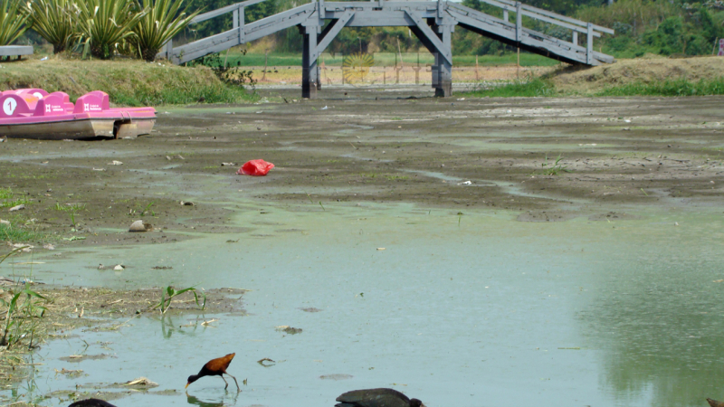 Otra de las consecuencias que genera la falta de lluvias: la laguna Francia se convirtió en apenas un charco