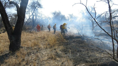 "El fuego está entrando en montes y selvas, los dos ambientes que van a sufrir más"
